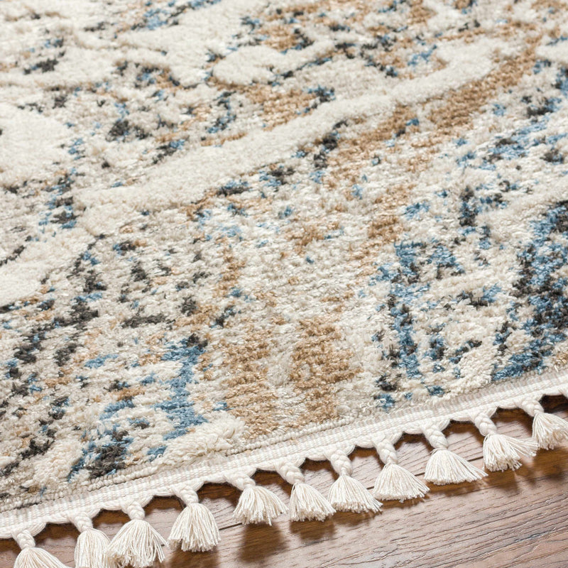 Ioane Area Rug - Clearance by Boutique Rugs