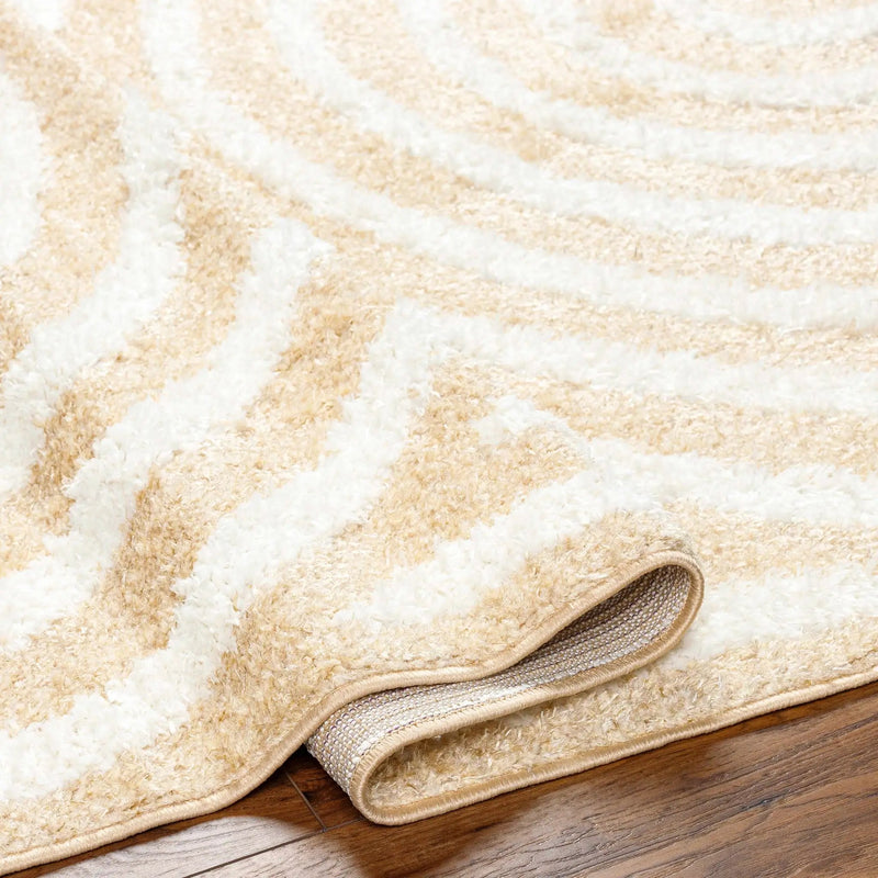 Arnel Beige Area Rug - Clearance by Boutique Rugs