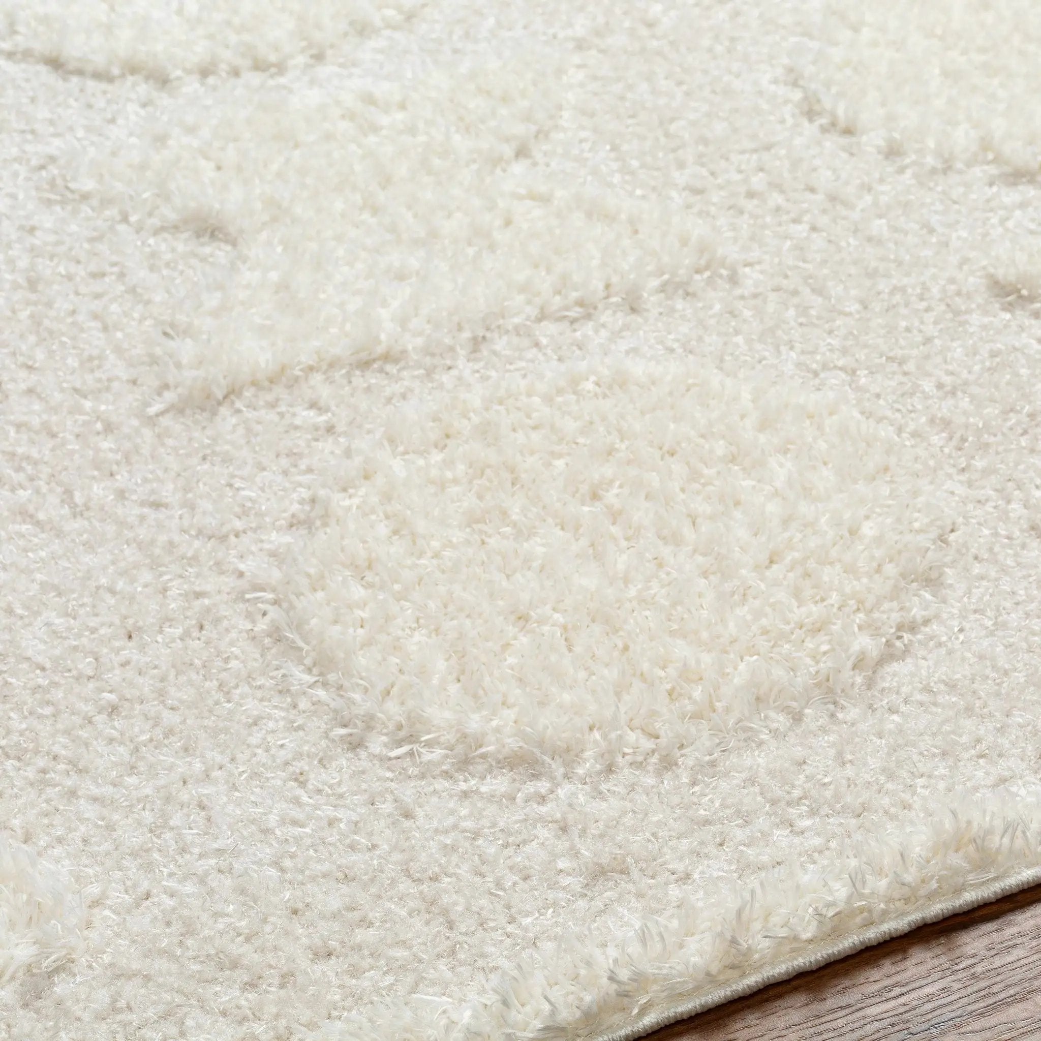 Dason Cream Area Rug - Clearance by Boutique Rugs