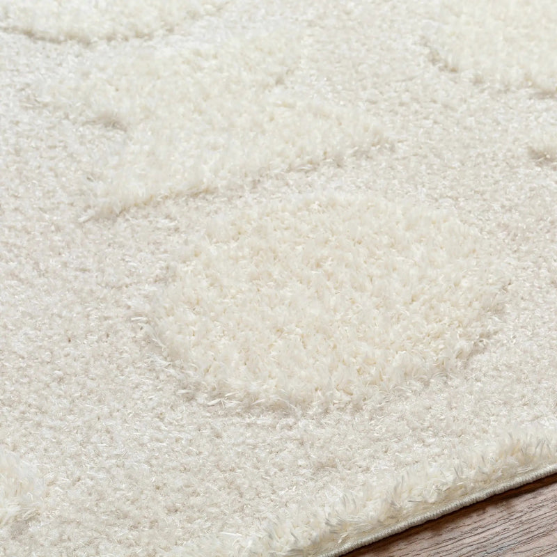 Dason Cream Area Rug - Clearance by Boutique Rugs