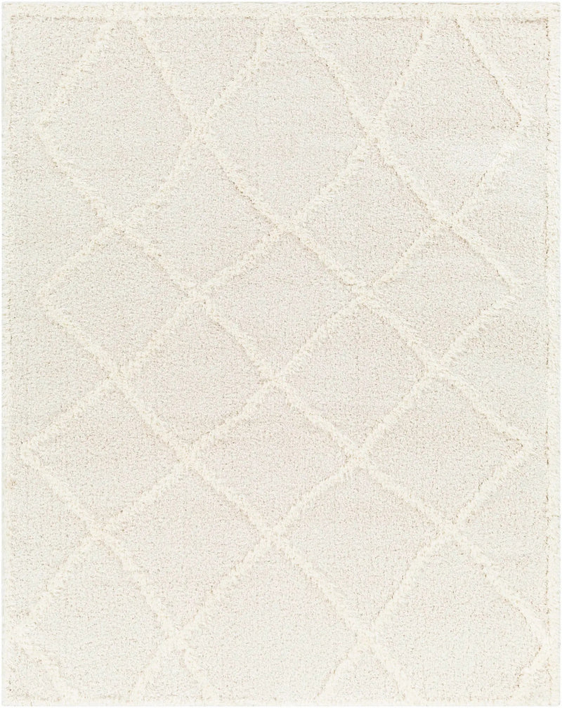 Daube Area Rug - Clearance by Boutique Rugs