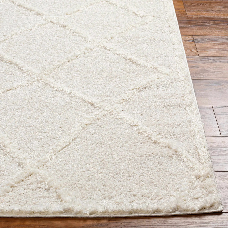Daube Area Rug - Clearance by Boutique Rugs