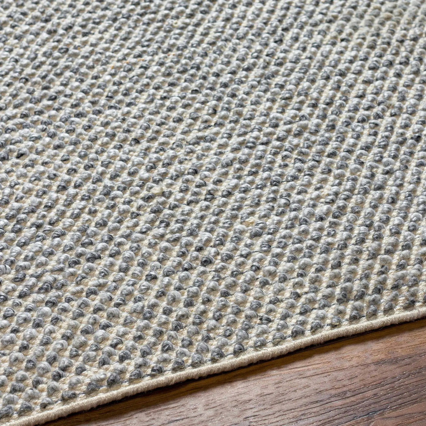 Kala Area Rug - Clearance by Boutique Rugs