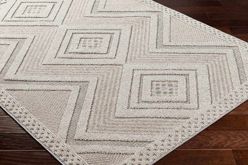 Aimee Natural Gray Outdoor Area Rug - Clearance by Boutique Rugs