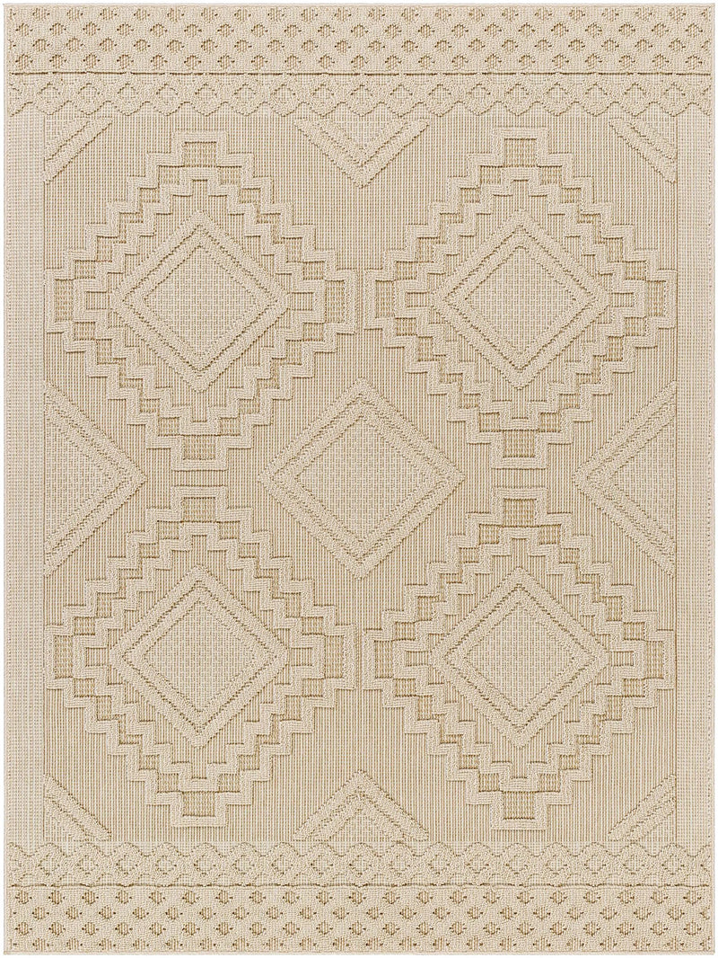 Arwid Bone Outdoor Area Rug - Clearance by Boutique Rugs