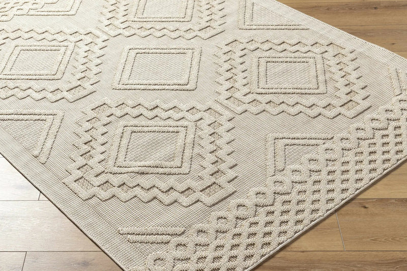 Arwid Bone Outdoor Area Rug - Clearance by Boutique Rugs