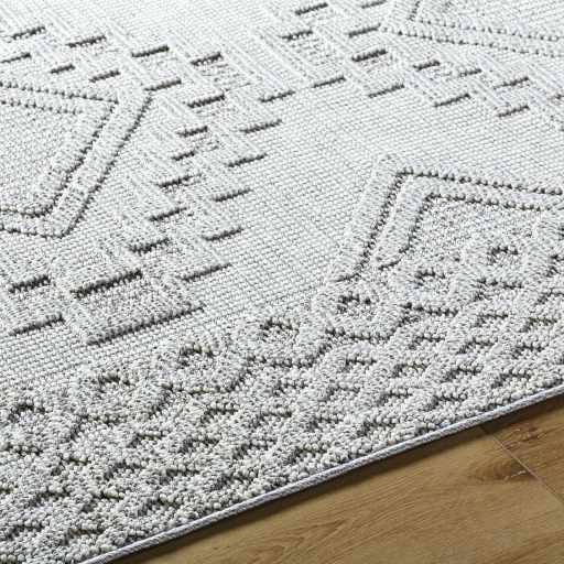 Arwid Light Gray Outdoor Area Rug - Clearance by Boutique Rugs