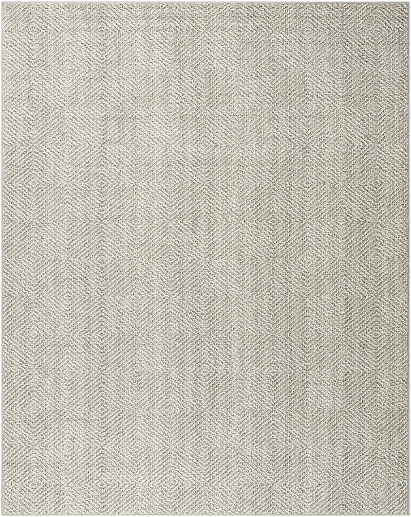 Broox Gray Outdoor Area Rug - Clearance by Boutique Rugs