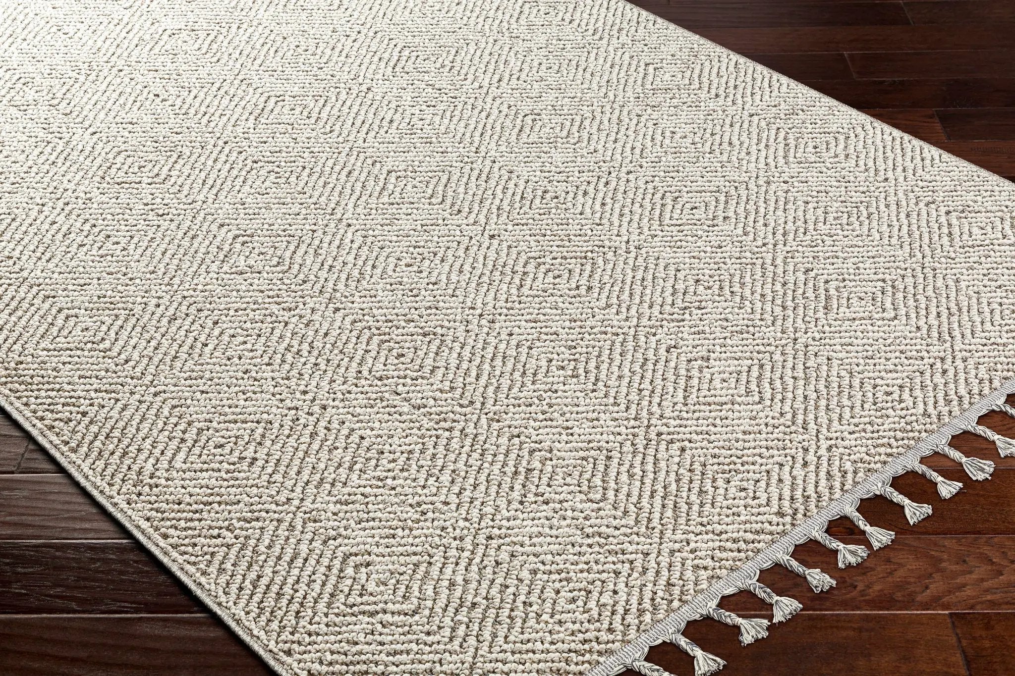 Broox Gray Outdoor Area Rug - Clearance by Boutique Rugs