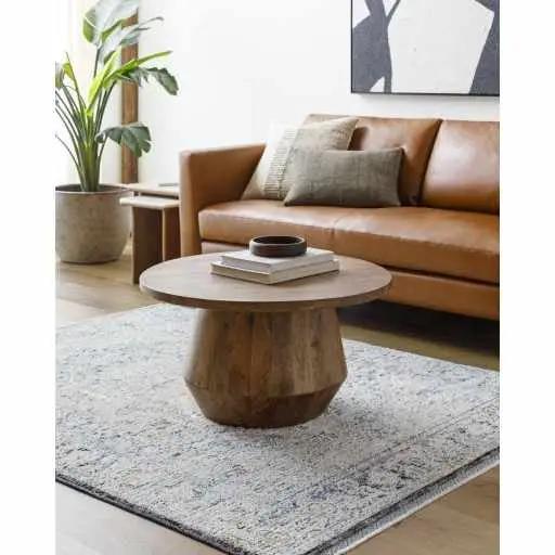 Charo Light Gray Area Rug by Boutique Rugs