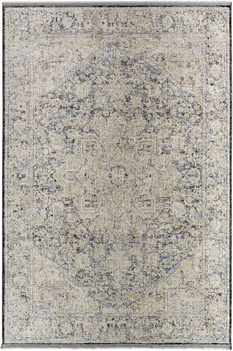 Charo Light Gray Area Rug by Boutique Rugs