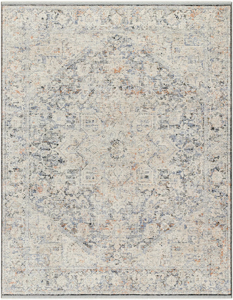 Charo Light Gray Area Rug by Boutique Rugs