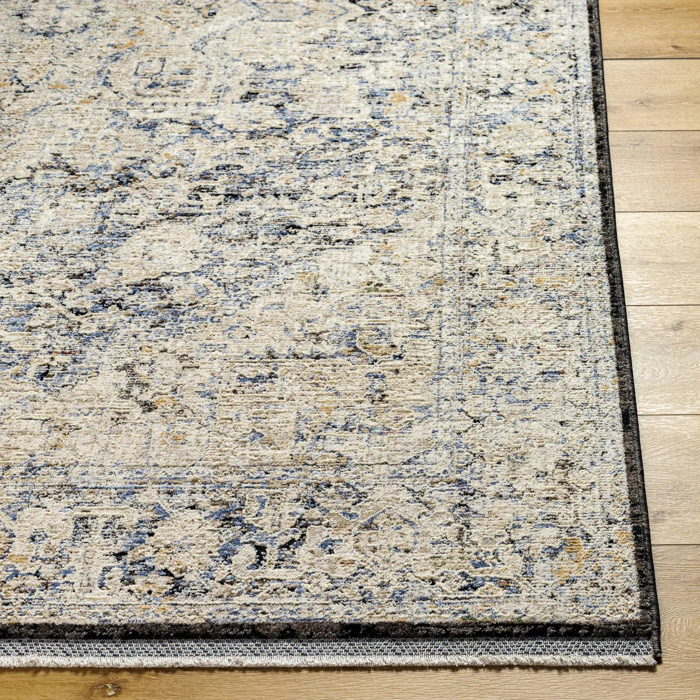 Charo Light Gray Area Rug by Boutique Rugs