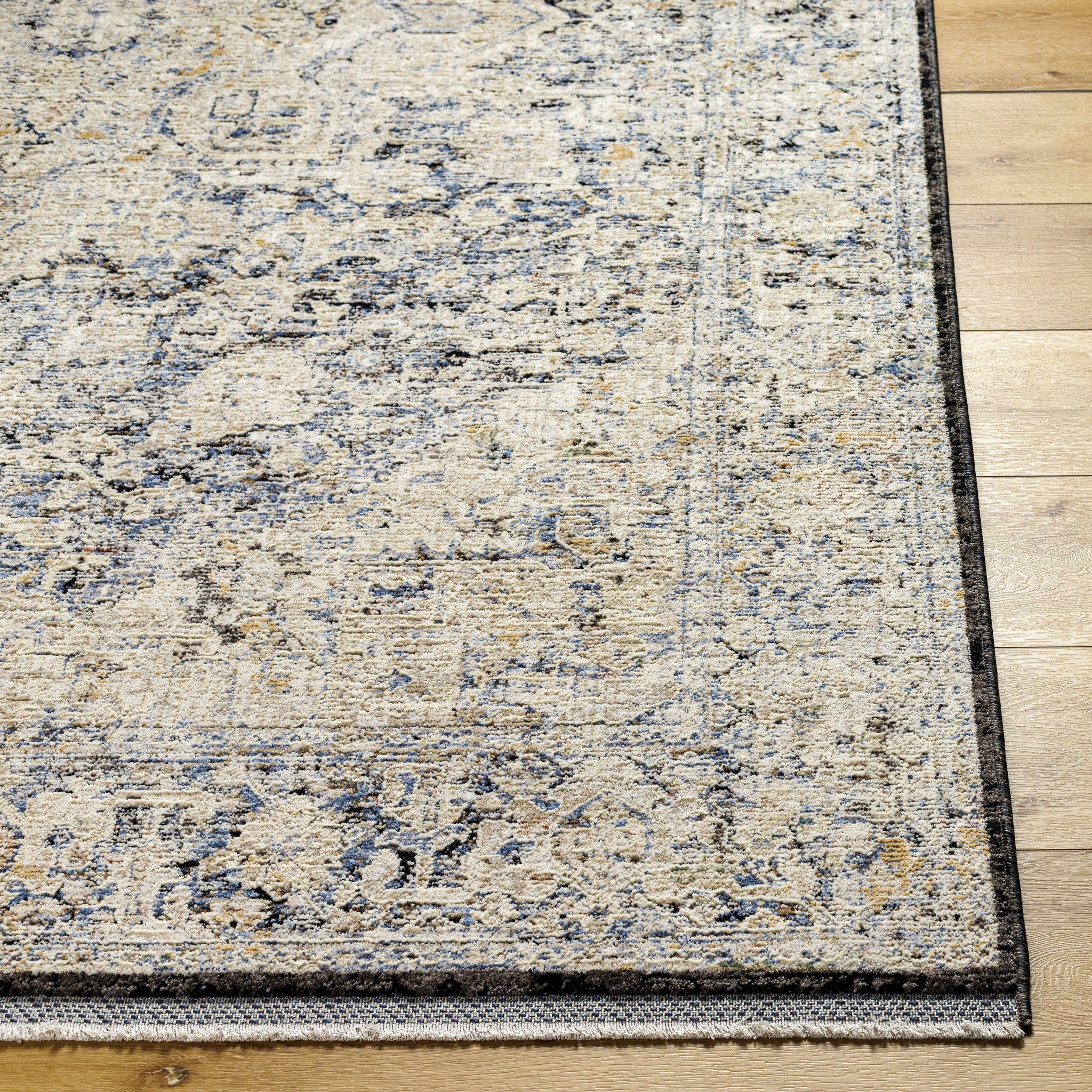 Charo Light Gray Area Rug by Boutique Rugs