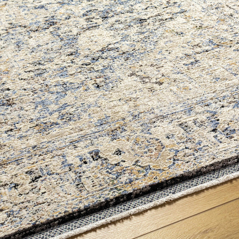 Charo Light Gray Area Rug by Boutique Rugs