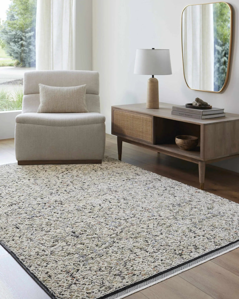 Haran Cloud Gray Area Rug by Boutique Rugs