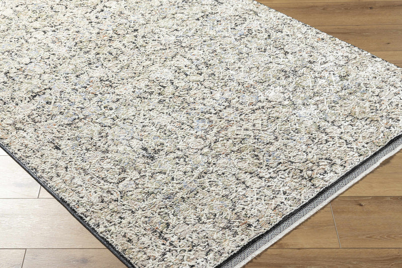 Haran Cloud Gray Area Rug by Boutique Rugs