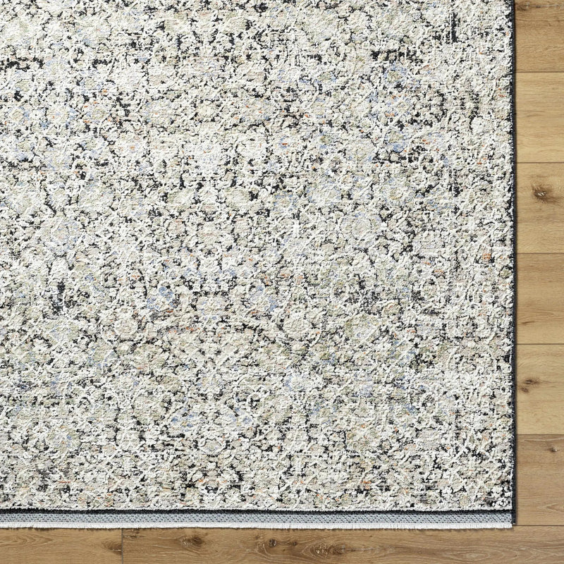 Haran Cloud Gray Area Rug by Boutique Rugs