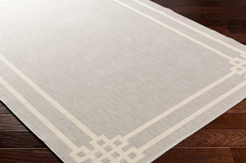 Ilori Light Gray Outdoor Area Rug - Clearance by Boutique Rugs