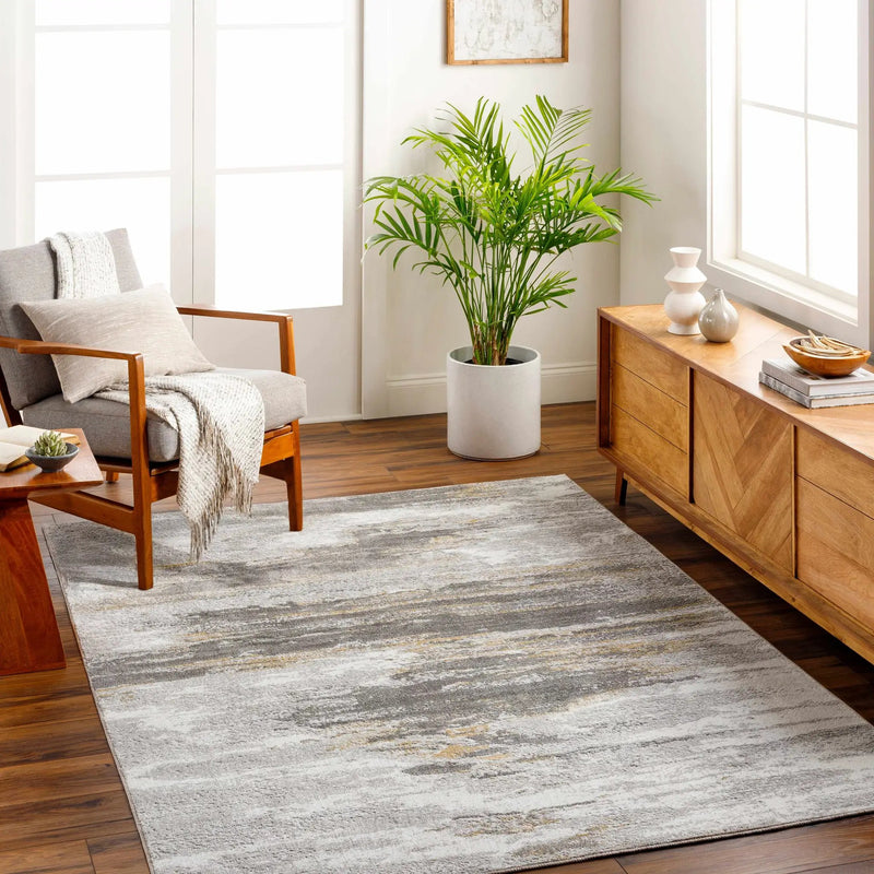 Derex Abstract Gray Rug by Boutique Rugs