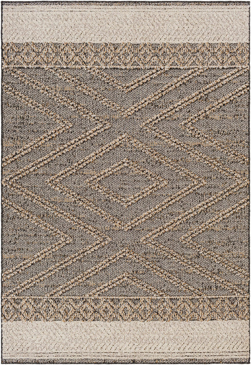Beige Charcoal Areli Outdoor Area Rug by Boutique Rugs