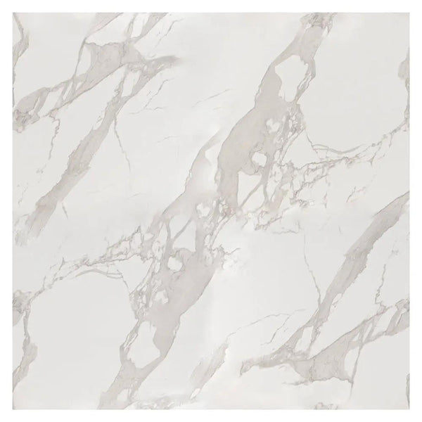Statu Polished 24x24 Rec