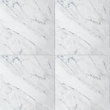 Statuarietto Polished Marble Tiles 12x12