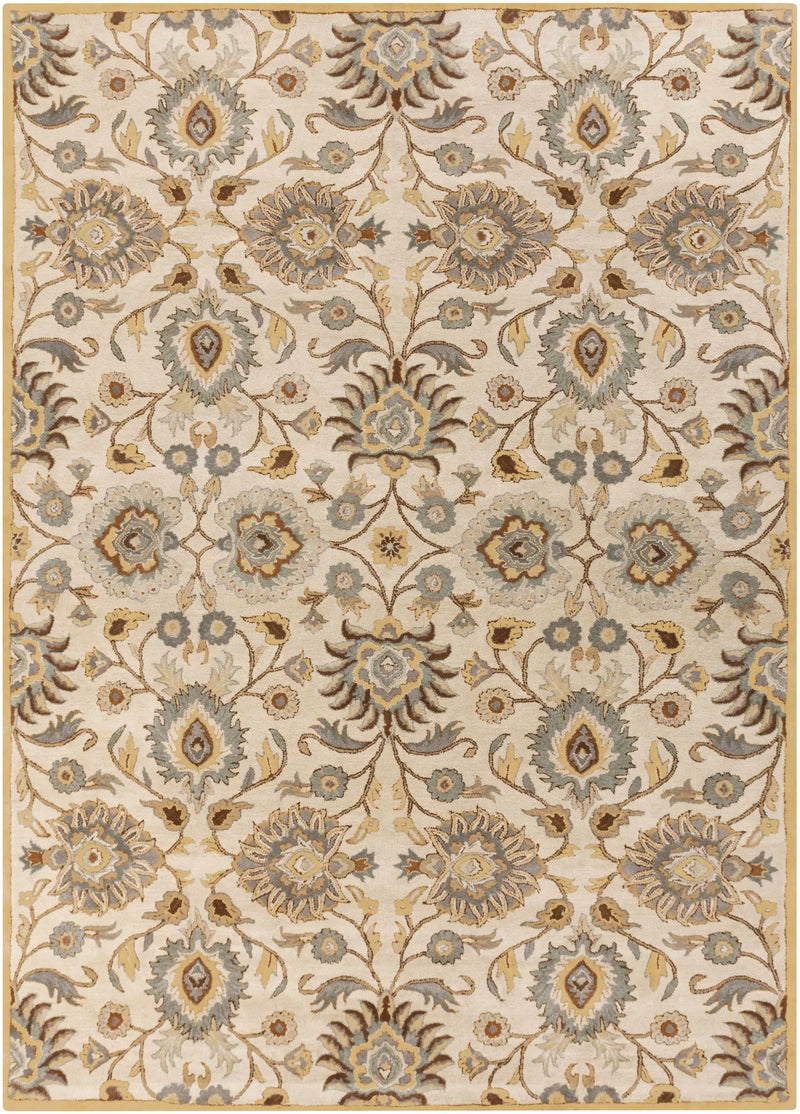 Conesus Hand Tufted Tan 1012 Area Rug by Boutique Rugs