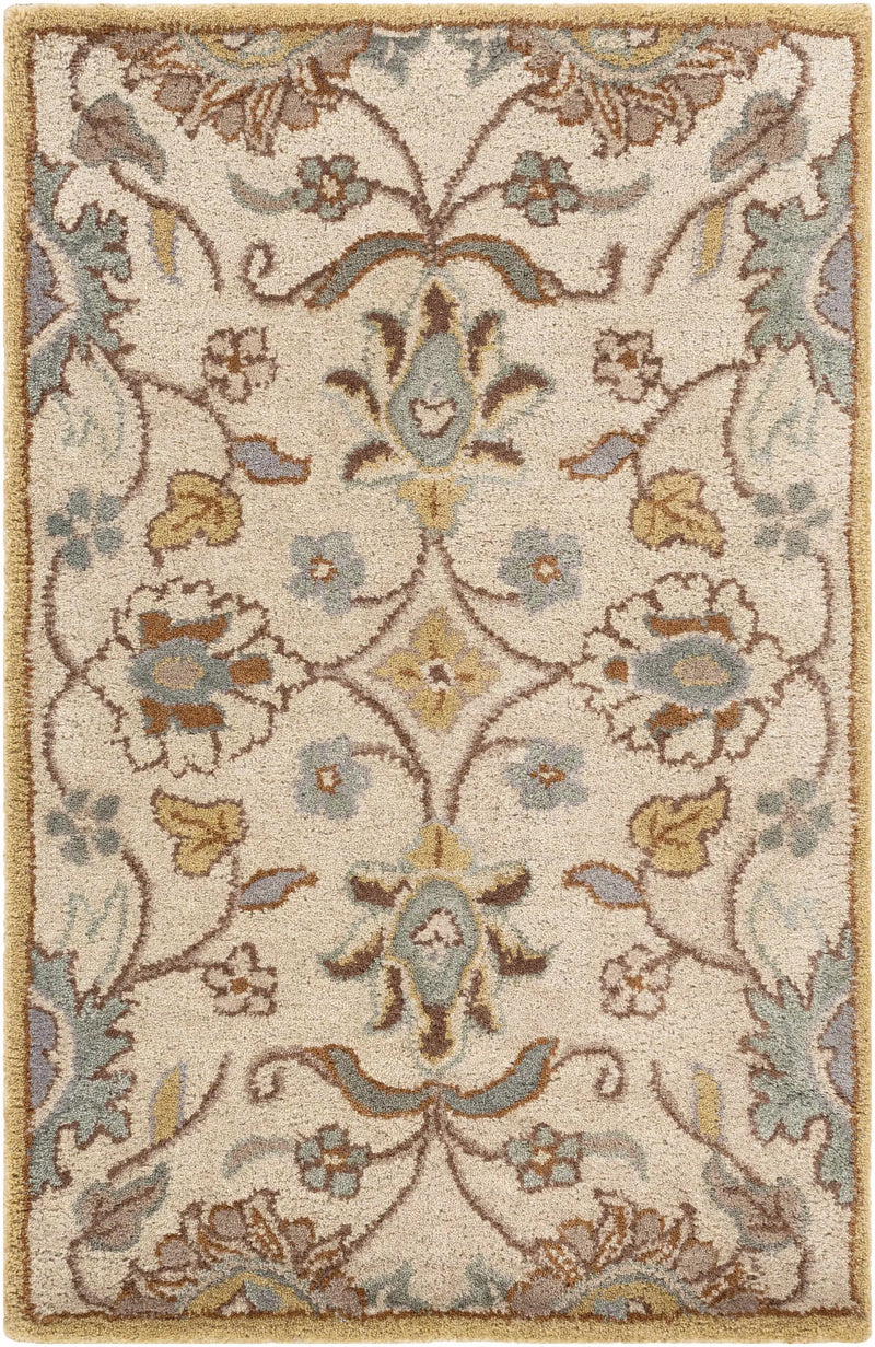 Conesus Hand Tufted Tan 1012 Area Rug by Boutique Rugs