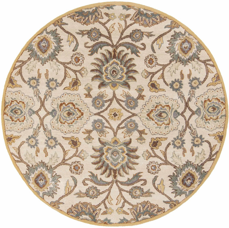 Conesus Hand Tufted Tan 1012 Area Rug by Boutique Rugs