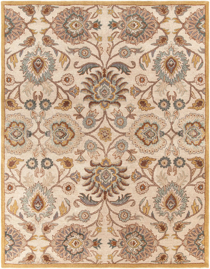 Conesus Hand Tufted Tan 1012 Area Rug by Boutique Rugs