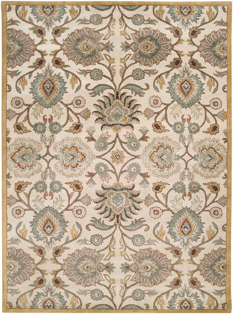 Conesus Hand Tufted Tan 1012 Area Rug by Boutique Rugs