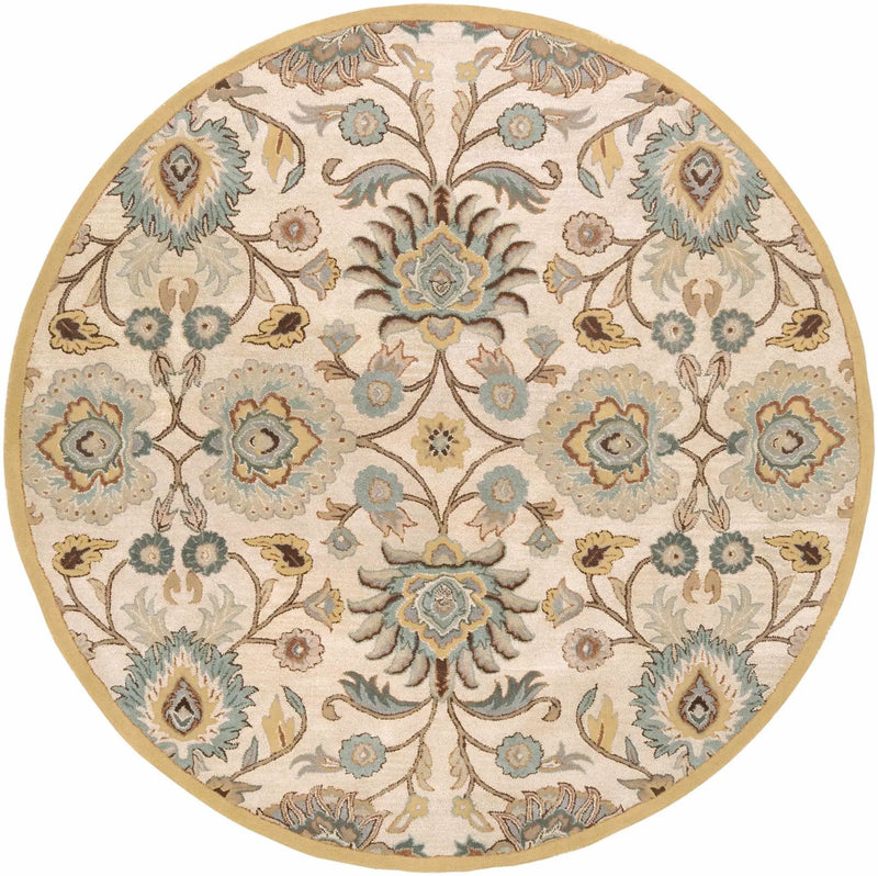 Conesus Hand Tufted Tan 1012 Area Rug by Boutique Rugs