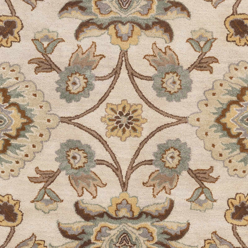 Conesus Hand Tufted Tan 1012 Area Rug by Boutique Rugs