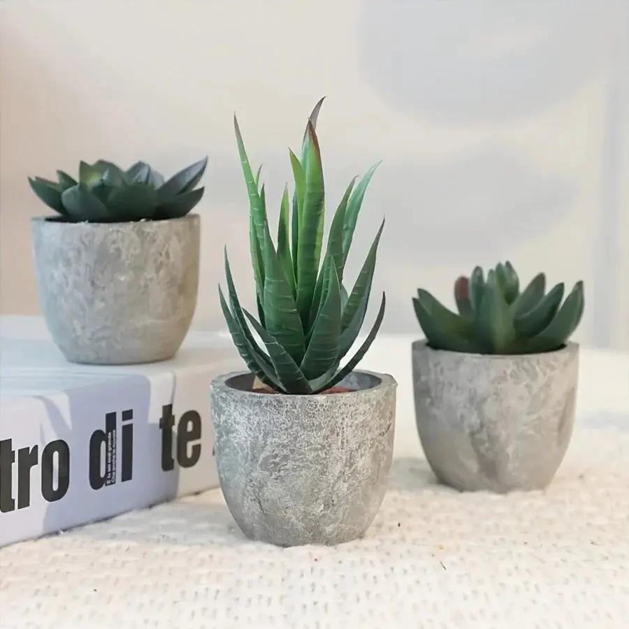 Succulent Plant Set in Concrete Pots, Low Maintenance Indoor Decor by House Of Avana