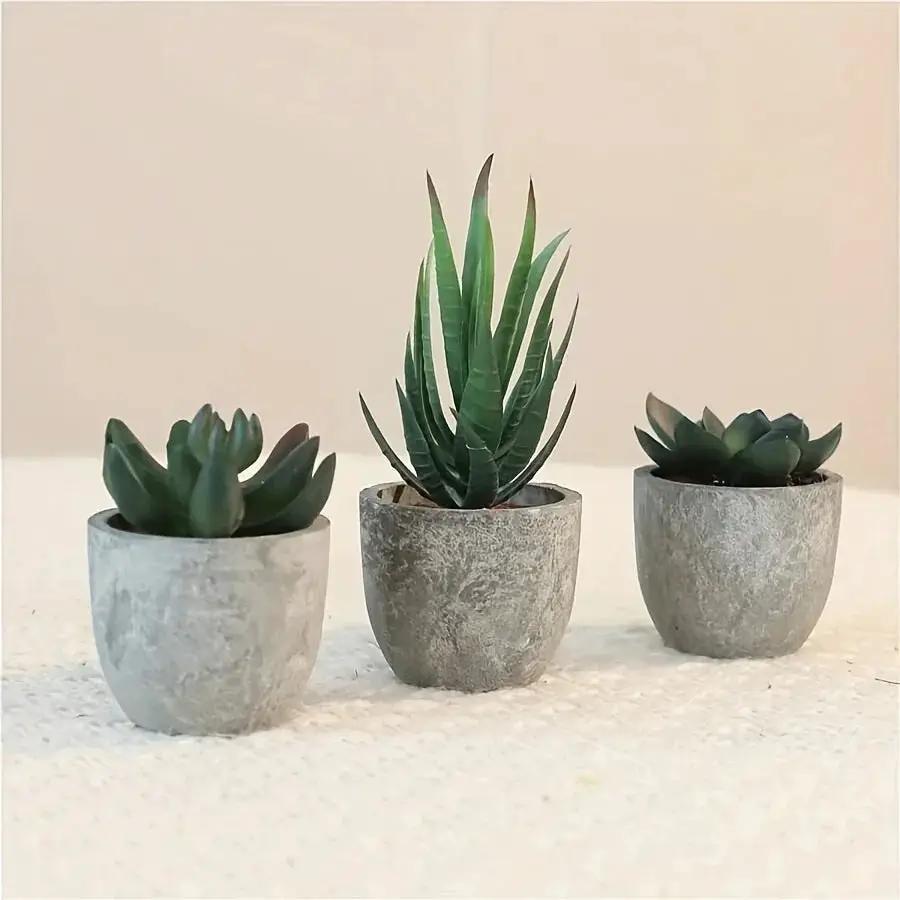 Succulent Plant Set in Concrete Pots, Low Maintenance Indoor Decor by House Of Avana