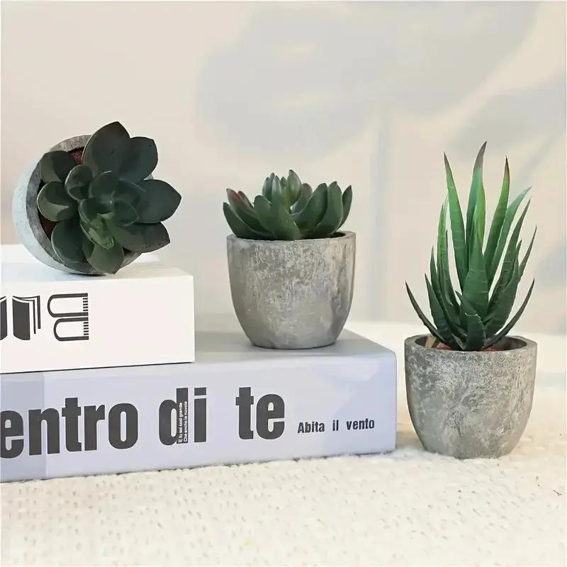 Succulent Plant Set in Concrete Pots, Low Maintenance Indoor Decor by House Of Avana