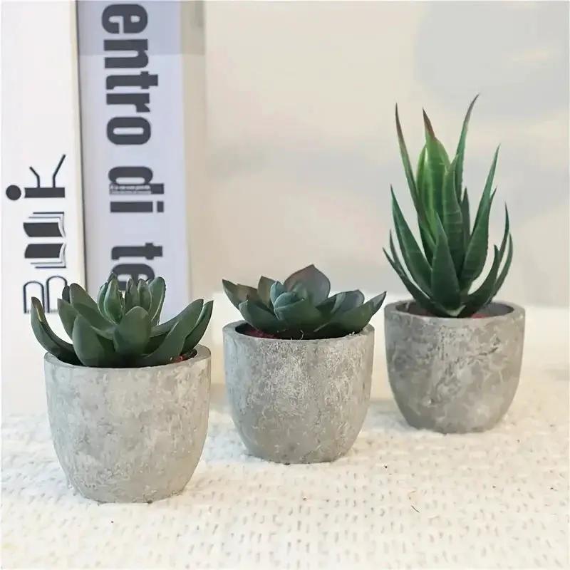Succulent Plant Set in Concrete Pots, Low Maintenance Indoor Decor by House Of Avana