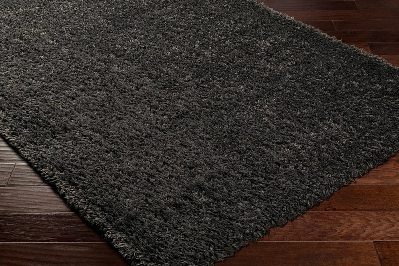 Black Allon Area Rug - Clearance by Boutique Rugs