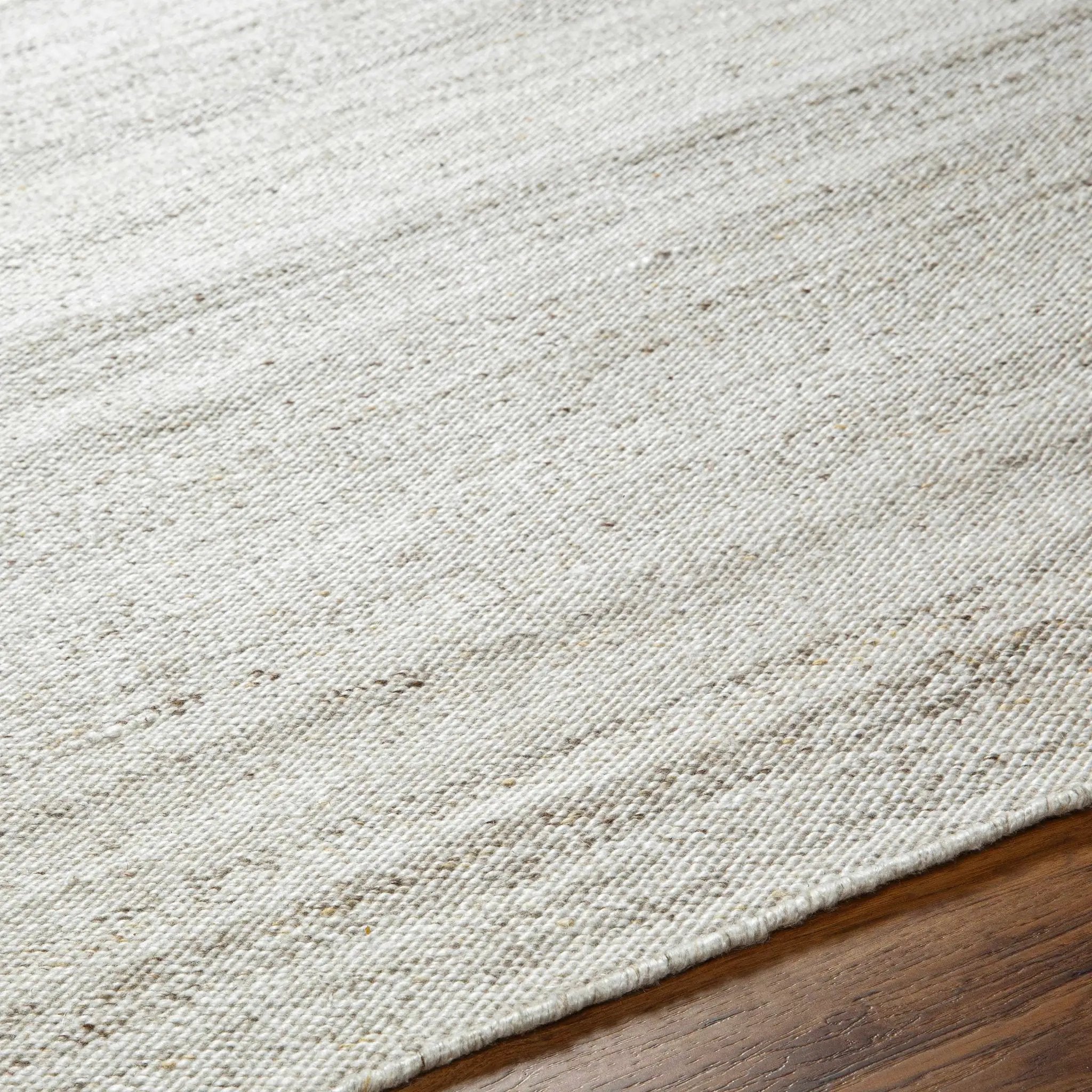 Amrit Area Rug - Clearance by Boutique Rugs