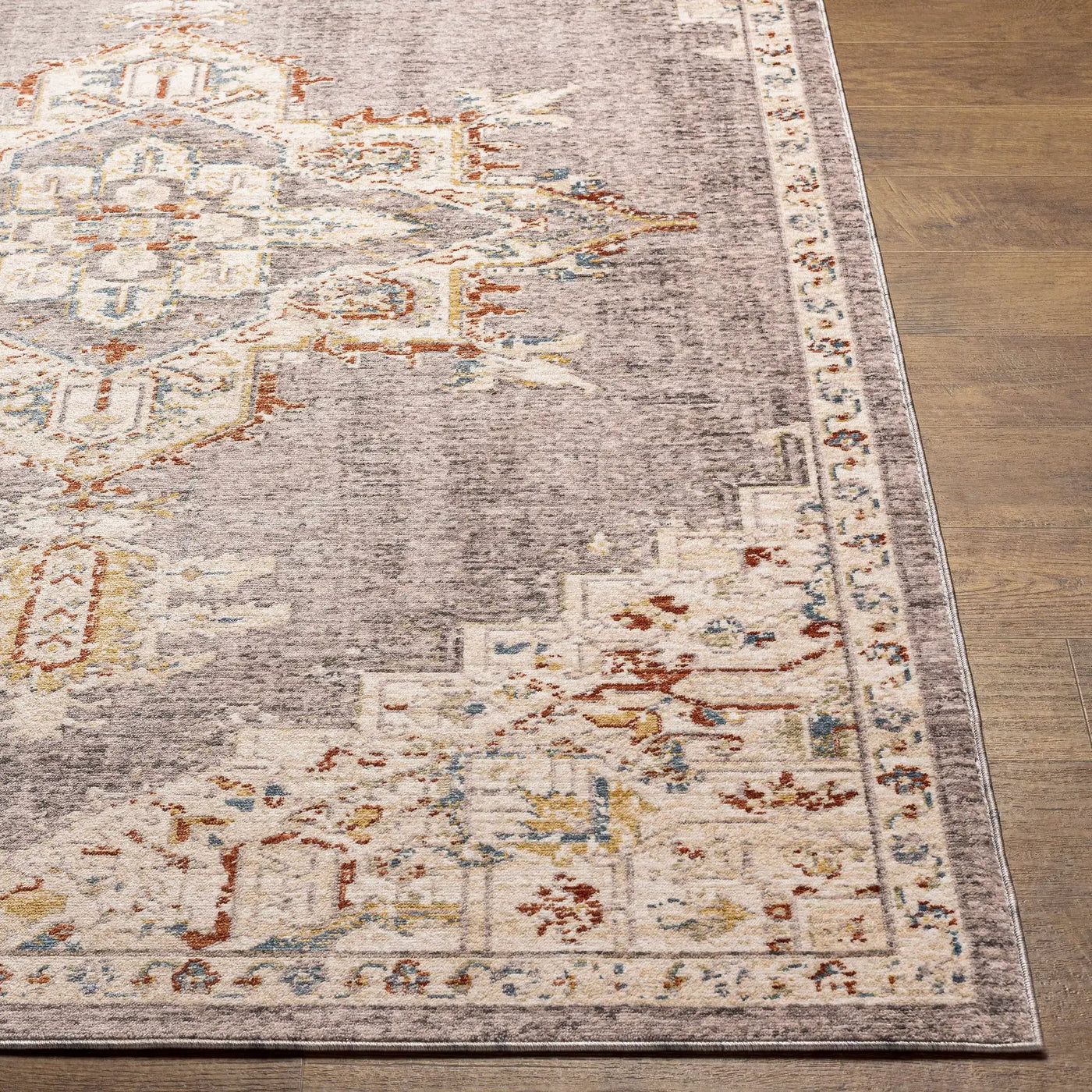 Taia Traditional Style Rug - Clearance by Boutique Rugs