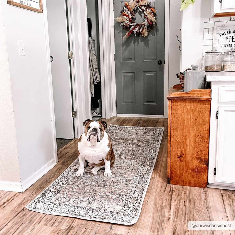 Jill Washable Area Rug - Clearance by Boutique Rugs
