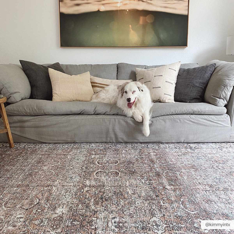 Jill Washable Area Rug - Clearance by Boutique Rugs