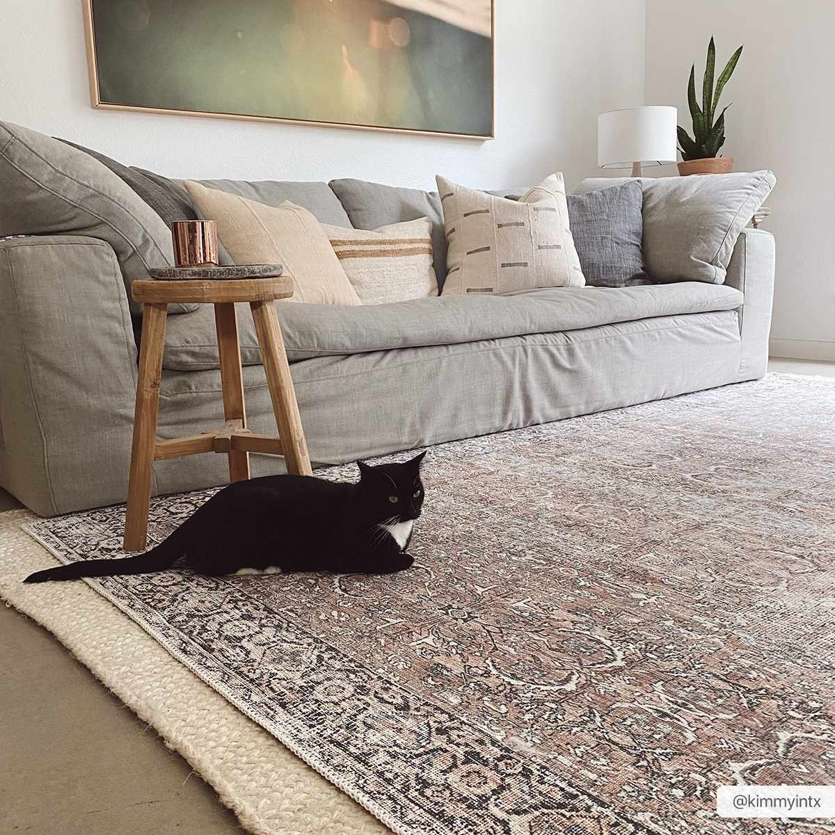 Jill Washable Area Rug - Clearance by Boutique Rugs