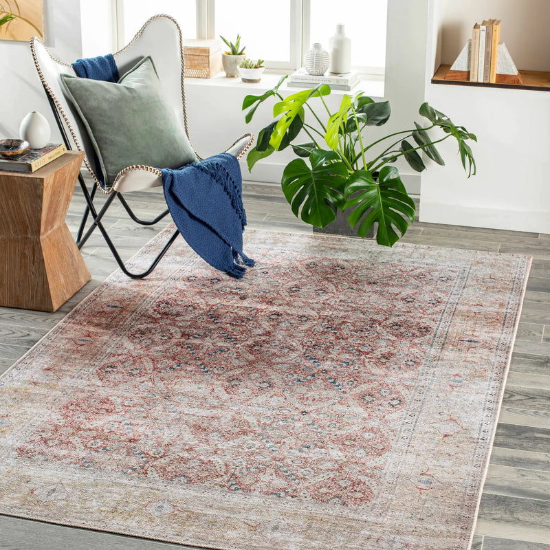 Tapia Washable Area Rug - Clearance by Boutique Rugs