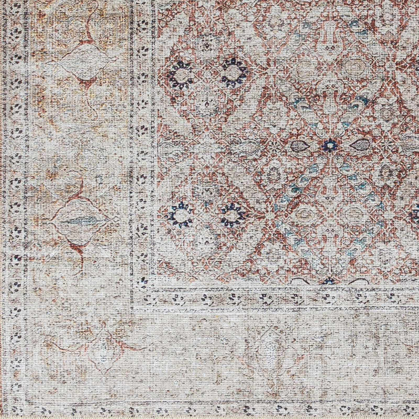 Tapia Washable Area Rug - Clearance by Boutique Rugs