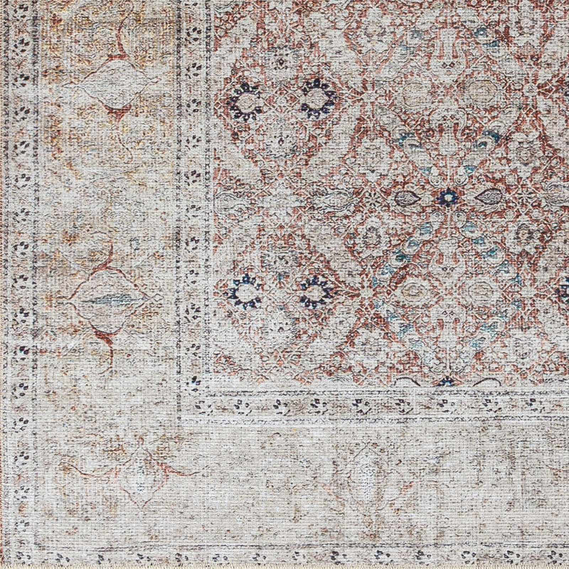 Tapia Washable Area Rug - Clearance by Boutique Rugs