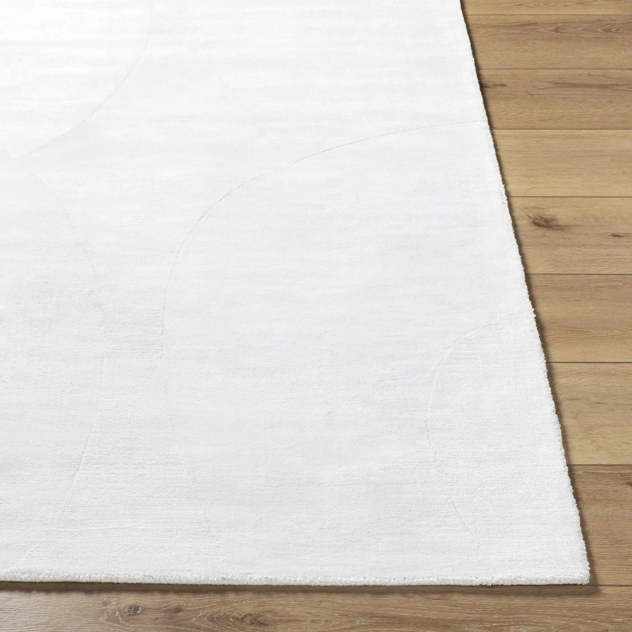 Tryna Area Rug - Clearance by Boutique Rugs