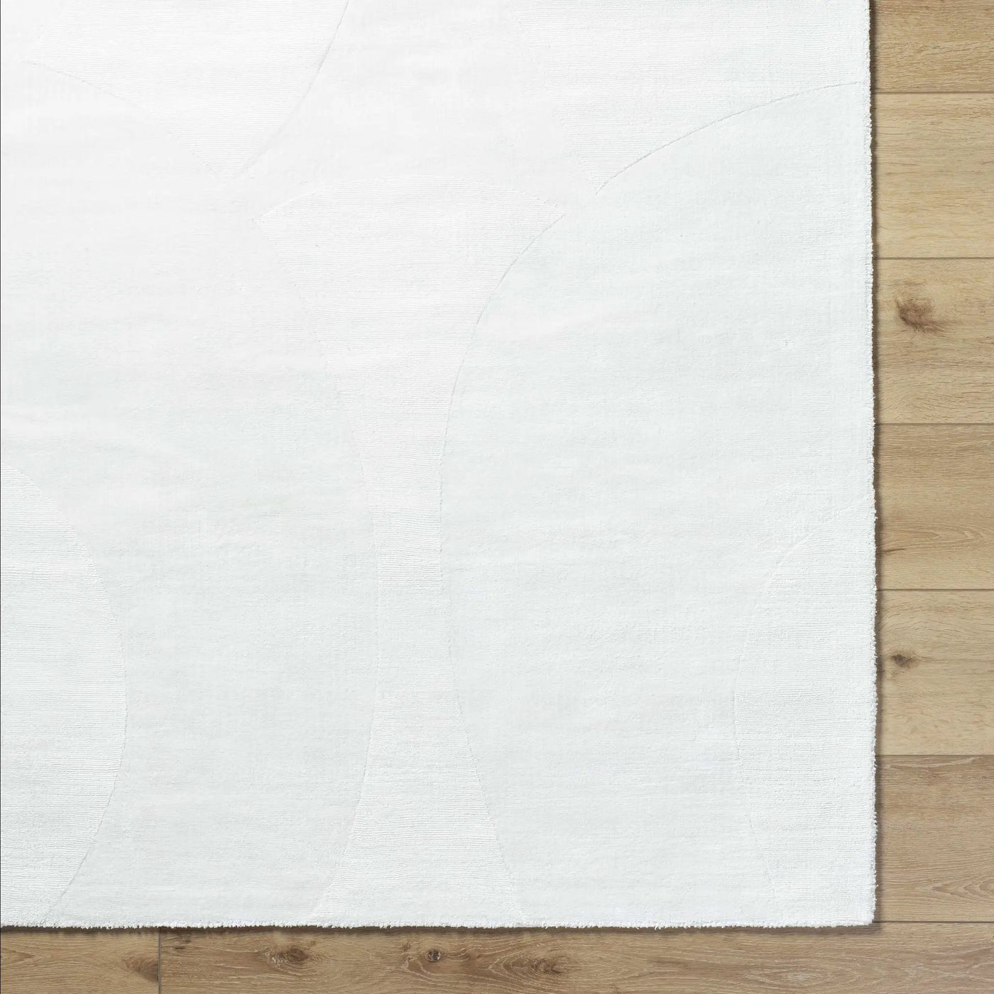 Tryna Area Rug - Clearance by Boutique Rugs