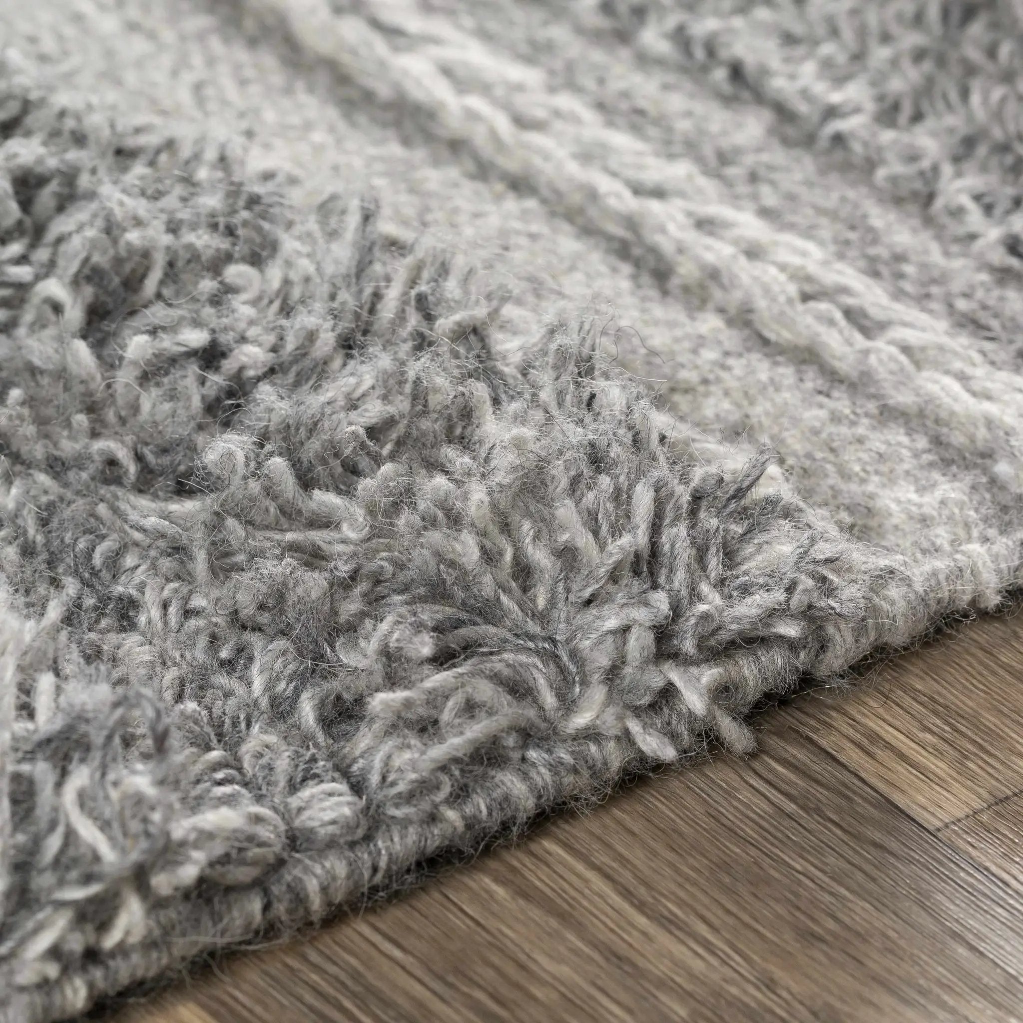 Teachey Carpet Area Rug - Clearance by Boutique Rugs